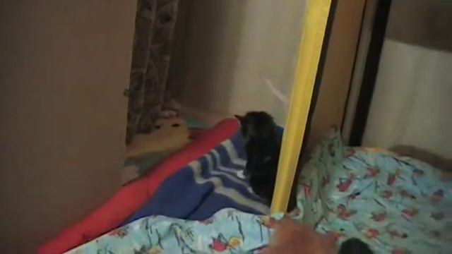 Наши куняшки смотреть онлайн