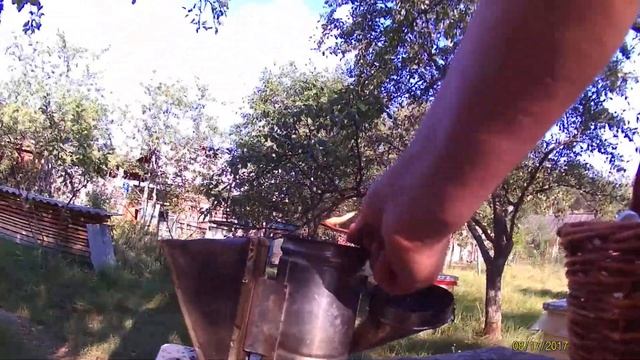 розжиг дымаря лохматой шишкой смотреть онлайн