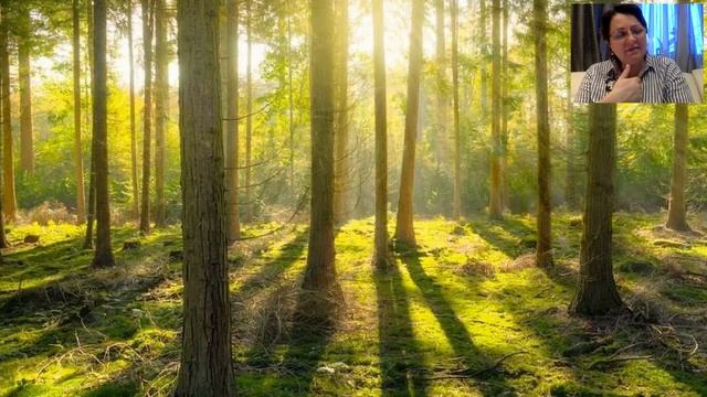 Клубная встреча | Потоковые медитации от 12.07.2020 смотреть онлайн