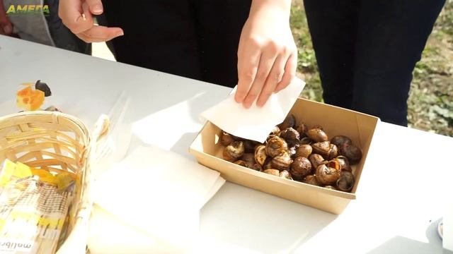 Летние выходные в проекте «Дубрава», август 2023 смотреть онлайн