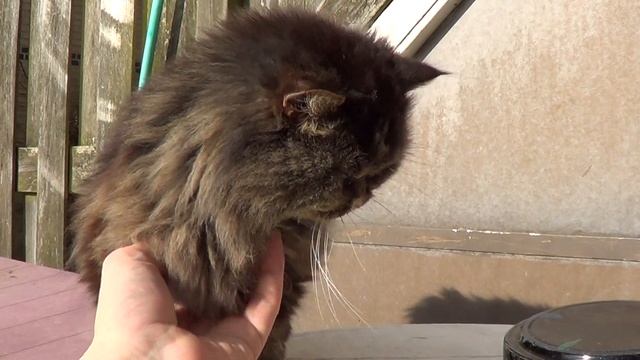 2013-02-27,Kater Gallash смотреть онлайн