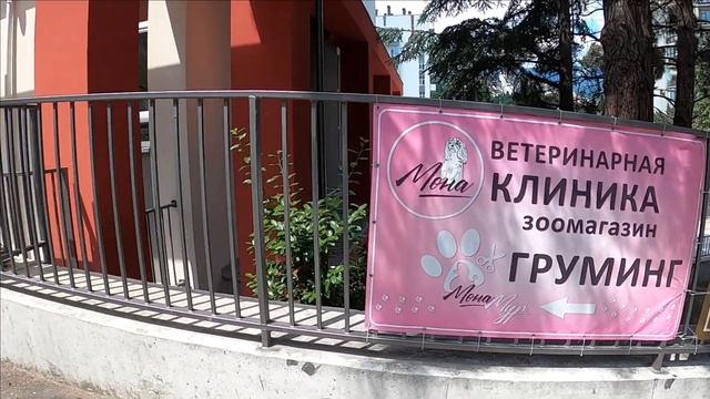 ▶️ Идем с Рыжиком ветклинику смотреть онлайн
