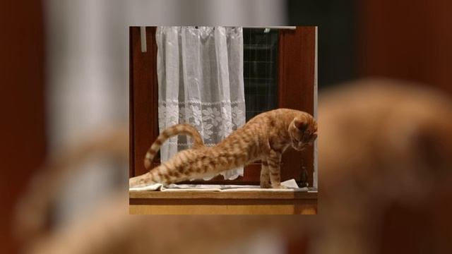 Blu Cantrell - Hit 'Em Up Style Oops! ( sped up ) смотреть онлайн