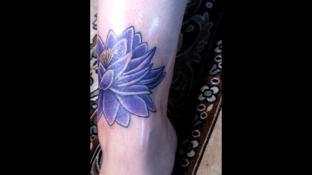 Лотос смотреть онлайн