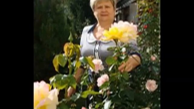 Людмиле с юбилеем смотреть онлайн