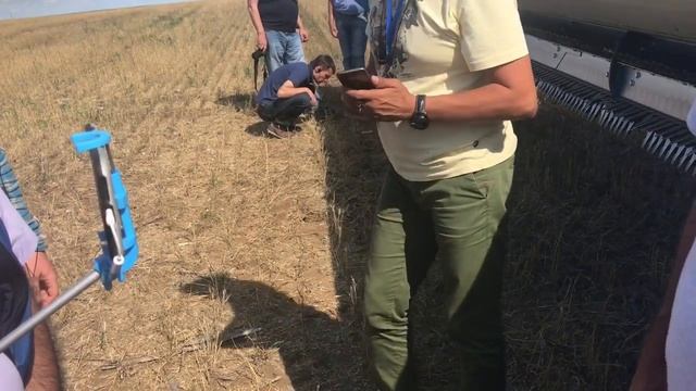 Уборка пшеницы очесывающими жатками на ферме Рика Бибера смотреть онлайн