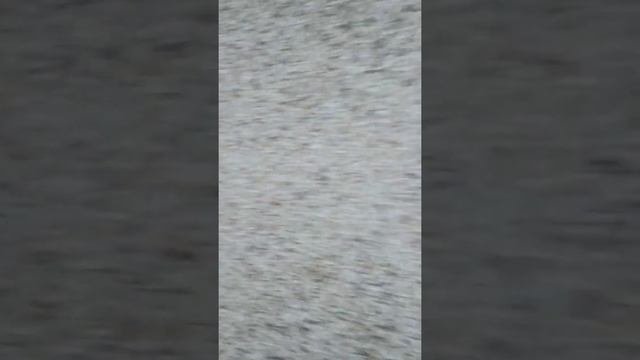 Бондарня смотреть онлайн