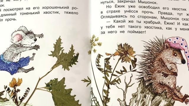 Детская книжка "Истории с хвостиком. Про ёжика" - читаем вслух. Анна Юдина смотреть онлайн