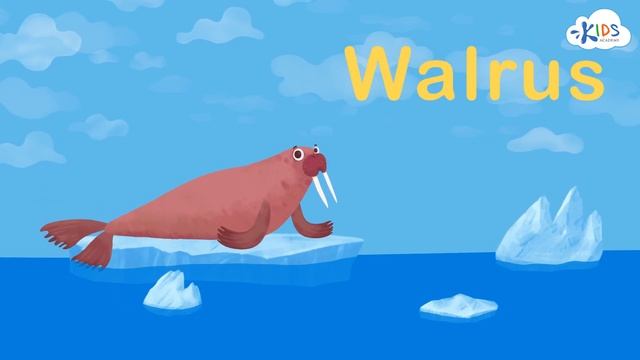 Learn Letter W - Alphabet for Kids | Animated Educational Cartoon | Kids Academy смотреть онлайн