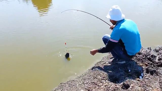 New catfish fishing video смотреть онлайн