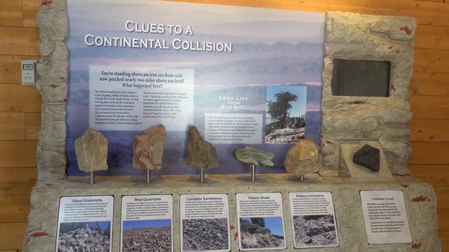 Самые долгоживущие формы жизни на Земле. Часть 1 смотреть онлайн