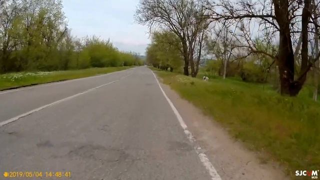 04_05_2019_ВОРОБЕЙ АЛЬБИНОС_СТАВРОПОЛЬЕ_село ГОФИЦКОЕ.mp4 смотреть онлайн