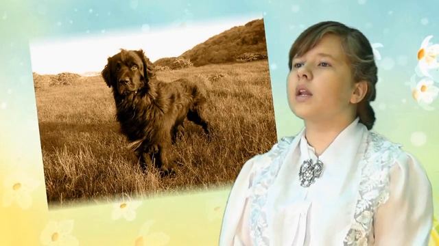 Джеймс Барри "Питер Пен" (отрывок) смотреть онлайн