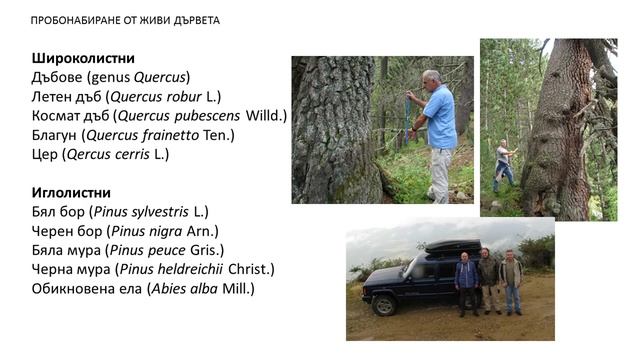 Проект: Дендрохронология - "Седмица на бенефициентите на ФНИ" 2019 г. смотреть онлайн