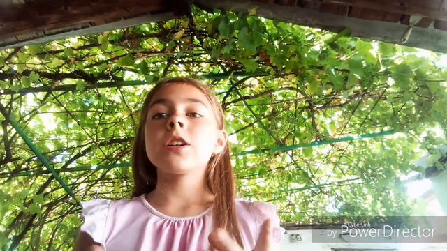 Смешные факты! Их получилось больше чем те 10 фактов! смотреть онлайн