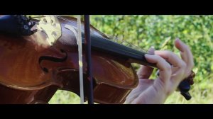 Кони привередливые (инструментальный кавер) В. Высоцкий