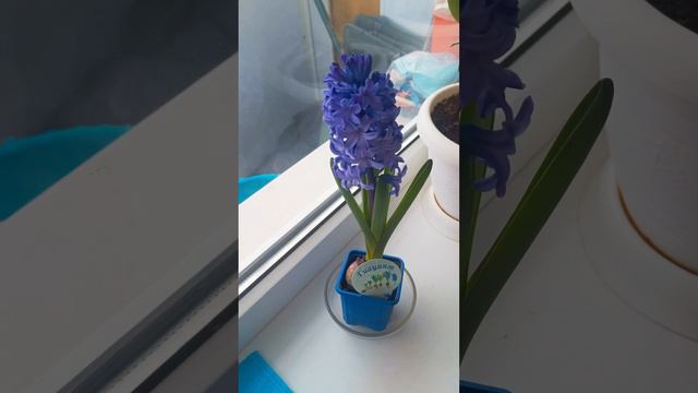 Отличный подарок бабуле смотреть онлайн