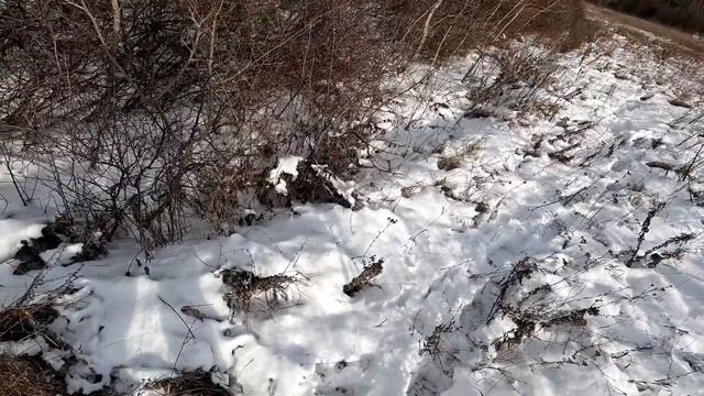 Заяц загоном Какие Ошибки и Успех смотреть онлайн