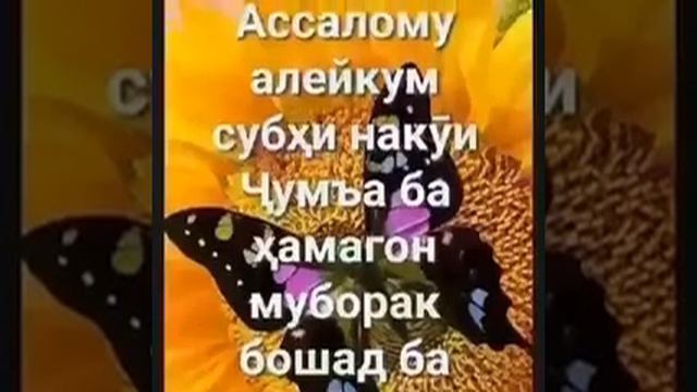 РУЗИ САИД МУБОРАК БАРОДАРОН ВА МОДАРОН смотреть онлайн