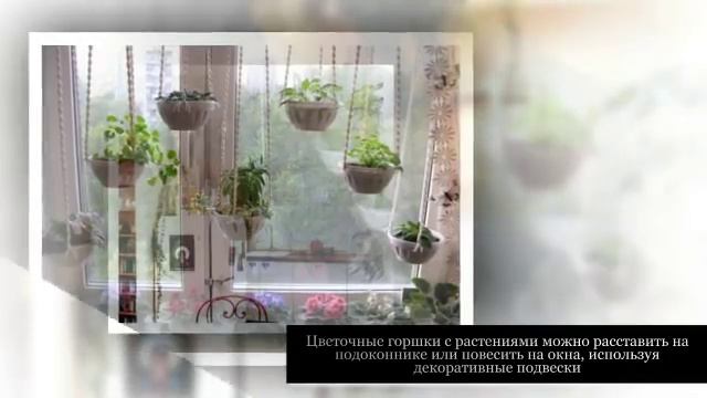 Какие КОМНАТНЫЕ РАСТЕНИЯ подойдут для КУХНИ смотреть онлайн