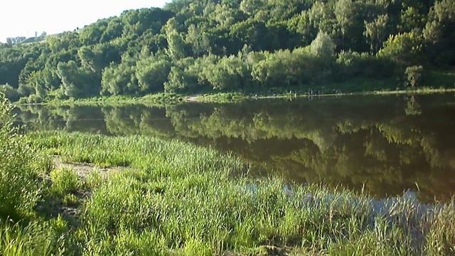 Затон им.Жданова. р. Ока. Окунь. смотреть онлайн