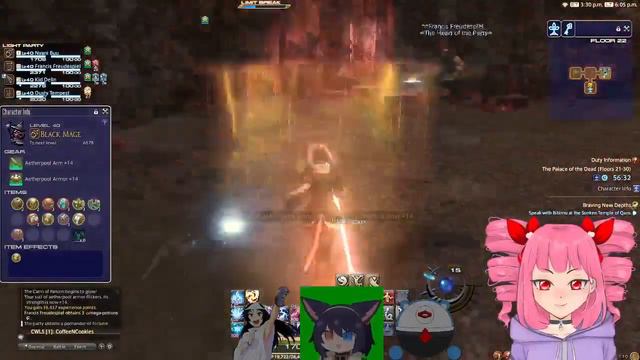 New Player LVL 34 Black Mage Catto :3 смотреть онлайн