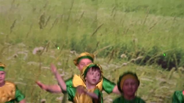 01.03.2015.Танец "Коротышки", ансамбль "Калинка" г.Ногинск смотреть онлайн