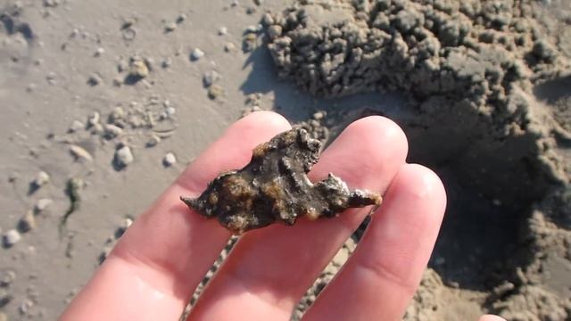 КОП НА ПЛЯЖЕ С НОВЫМ МЕТАЛЛОДЕТЕКТОРОМ GARRETT ACE 250!!! смотреть онлайн