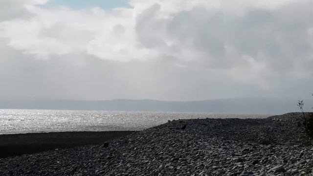 Nikon B500 / PORTHKELLY TRIP - CARDIFF/BARRY WALES UK / 1080.30 / смотреть онлайн