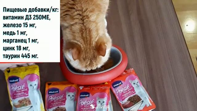 ?Poesie для кошек в новой упаковке... смотреть онлайн