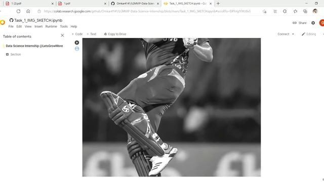 Task 1 Convert Image to sketch Using Python | LetsGrowMore VIP смотреть онлайн