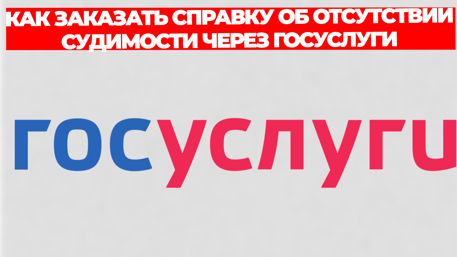 Всезнающий Енот