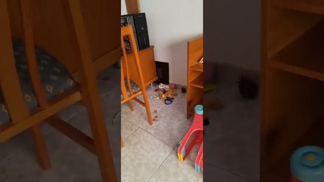моя новая квартира (не судите строго, там идёт ремонт). смотреть онлайн