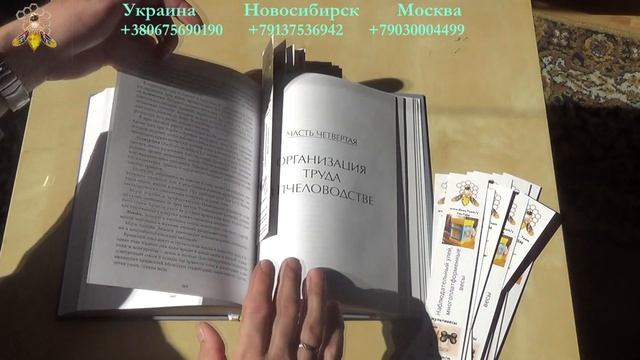 Кашковский В Г Содержание и разведение медоносных пчёл Apis Mellifera L смотреть онлайн