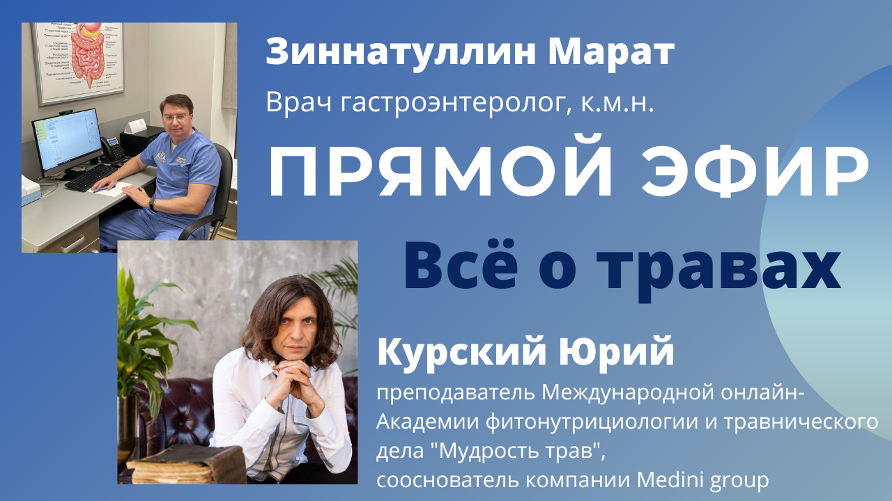 Все о травах. прямой эфир от 4 декабря 2022г. смотреть онлайн