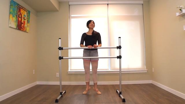 Absolute Beginner Ballet Class 1 || Online Ballet Lesson