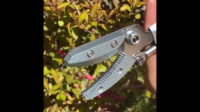 Секатор удлинённый ARS модель 160-0.6 смотреть онлайн