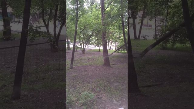 scene_output.mp4 смотреть онлайн