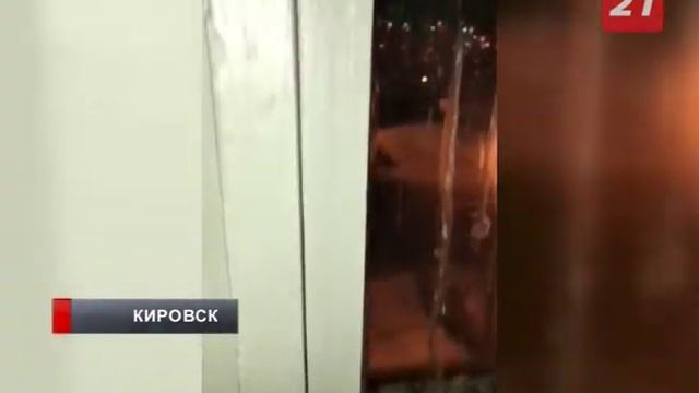 В Кировске жители борются с голубями смотреть онлайн