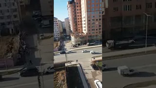 Собачья проблема в Каспийске, Дагестан.... смотреть онлайн