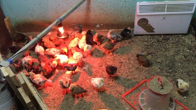 02-05-2023 смотреть онлайн