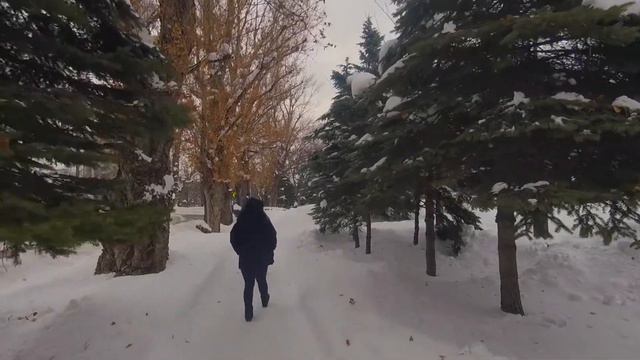 HOKKAIDO Japan Travel Vlog смотреть онлайн