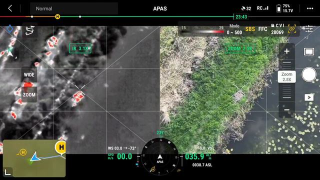 dji mavic 3 thermal m3t dog Search and rescue flight смотреть онлайн