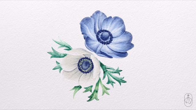 [Ep.03] Anemone Flowers (Watercolor Procreate Time-lapse) смотреть онлайн