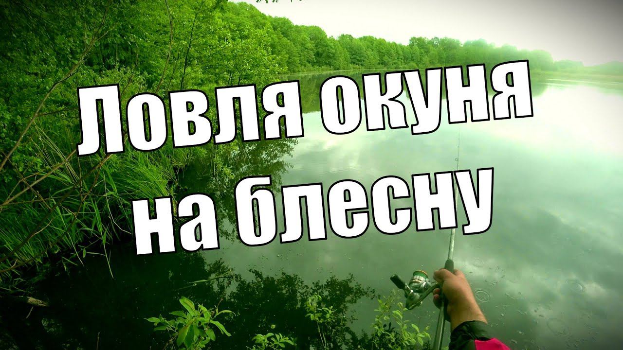 Нету карася будет окунь. смотреть онлайн