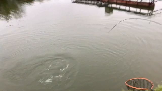 Поимки на актив смотреть онлайн