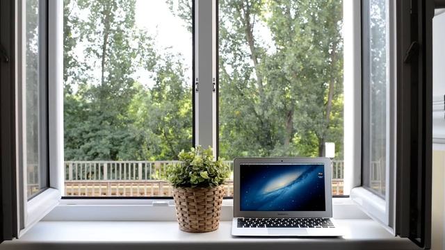 Пример видеозаписи с Nikon D800, 1 смотреть онлайн