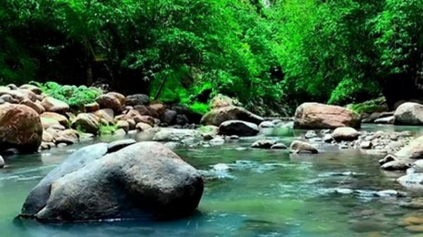 4K Forest Stream, Gentle river sounds for deep sleep, 10 Hour River Sounds Relaxation, Nature Sound