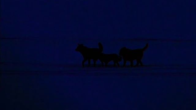 Пётр Налич БАЛЛАДА смотреть онлайн