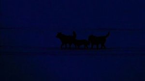 Пётр Налич БАЛЛАДА